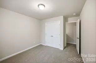 16716 Summers Walk Blvd, Davidson, NC 28036 - Photo 31