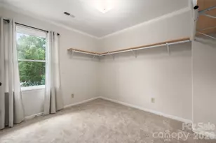 9112 Winter Moss Ct, Charlotte, NC 28227 - Photo 19