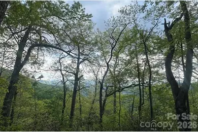 00 Falls View Drive #47, Bryson City, NC 28713 - Photo 23