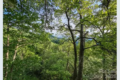 00 Falls View Drive #47, Bryson City, NC 28713 - Photo 11