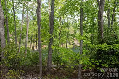 00 Deer Park Lake Road, Spruce Pine, NC 28777 - Photo 11