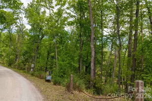 00 Deer Park Lake Rd, Spruce Pine, NC 28777 - Photo 1