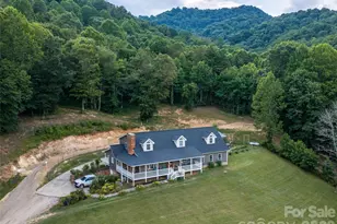 81 Aldens Way, Clyde, NC 28721 - Photo 47