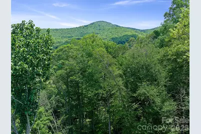 000 Ogles Gap Road, Burnsville, NC 28714 - Photo 29