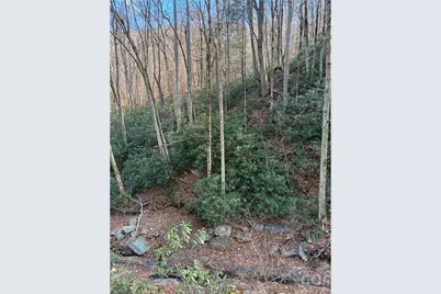 000 Ogles Gap Road, Burnsville, NC 28714 - Photo 43