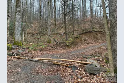 000 Ogles Gap Road, Burnsville, NC 28714 - Photo 41