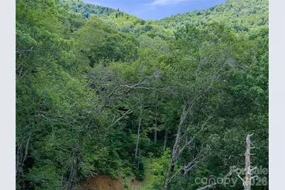 000 Ogles Gap Road, Burnsville, NC 28714 - Photo 27