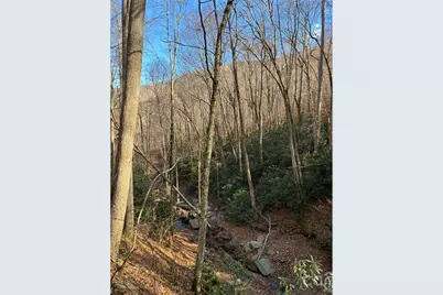 000 Ogles Gap Road, Burnsville, NC 28714 - Photo 3
