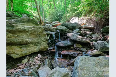 000 Ogles Gap Road, Burnsville, NC 28714 - Photo 7