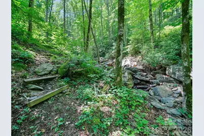 000 Ogles Gap Road, Burnsville, NC 28714 - Photo 15