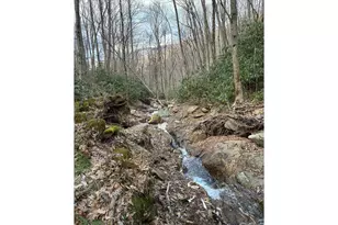 000 Ogles Gap Rd, Burnsville, NC 28714 - Photo 1