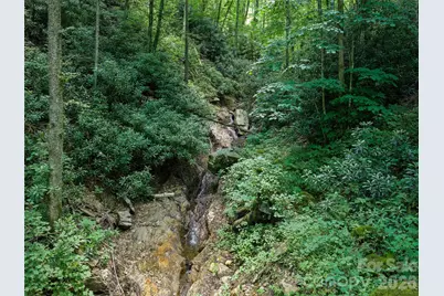 000 Ogles Gap Road, Burnsville, NC 28714 - Photo 37