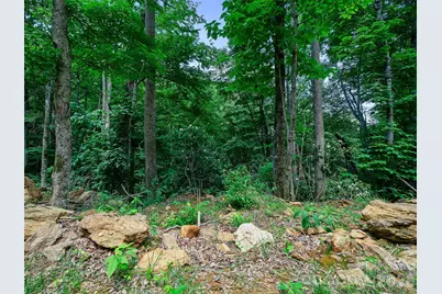 000 Ogles Gap Road, Burnsville, NC 28714 - Photo 19