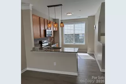 6320 Royal Celadon Way, Charlotte, NC 28269 - Photo 7