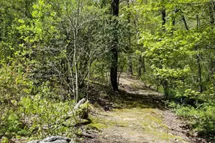 178 Waightstill Dr, Arden, NC 28704 - Photo 33