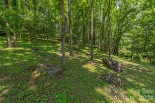 702 Love Joy Rd, Canton, NC 28716 - Photo 29