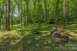 702 Love Joy Rd, Canton, NC 28716 - Photo 31