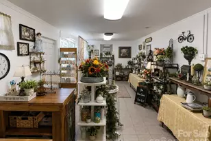 702 Love Joy Rd, Canton, NC 28716 - Photo 3