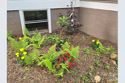 61 Wright Lane, Brevard, NC 28712 - Photo 23