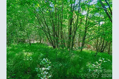 0 Ogle Meadows Road #5, Burnsville, NC 28714 - Photo 15
