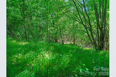 0 Ogle Meadows Road #5, Burnsville, NC 28714 - Photo 19