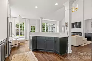 257 Harper Lee St, Davidson, NC 28036 - Photo 21