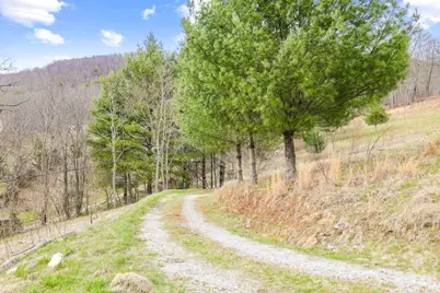 527 North Robinson Creek Road, Glenville, NC 28736 - Photo 17