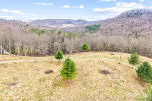 527 N Robinson Creek Rd, Glenville, NC 28736 - Photo 1