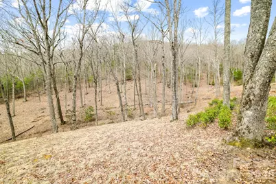 527 North Robinson Creek Road, Glenville, NC 28736 - Photo 27