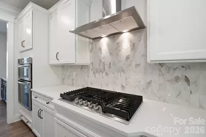 13223 Fiore Place, Huntersville, NC 28078 - Photo 11