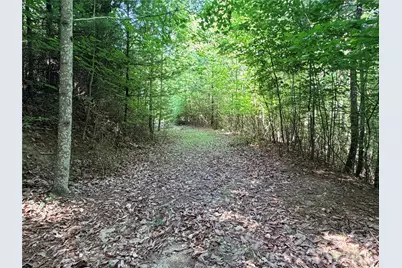 Tbd Blue Rock Road #171 & 172B, Purlear, NC 28665 - Photo 7