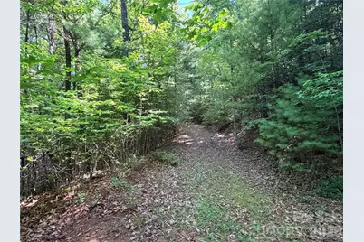 Tbd Blue Rock Road #171 & 172B, Purlear, NC 28665 - Photo 13