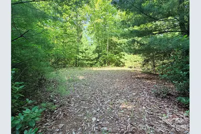 Tbd Blue Rock Road #171 & 172B, Purlear, NC 28665 - Photo 19