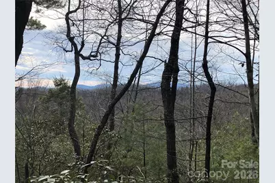 Tbd Blue Rock Road #171 & 172B, Purlear, NC 28665 - Photo 5