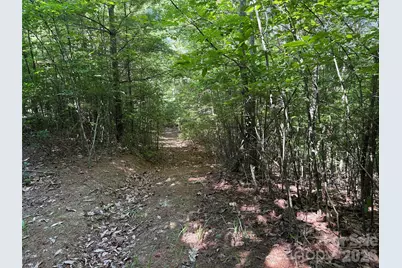 Tbd Blue Rock Road #171 & 172B, Purlear, NC 28665 - Photo 11
