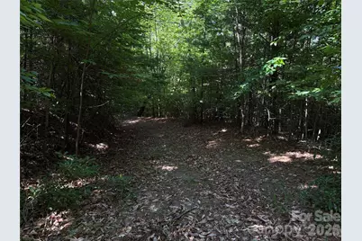 Tbd Blue Rock Road #171 & 172B, Purlear, NC 28665 - Photo 17