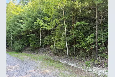 Tbd Blue Rock Road #171 & 172B, Purlear, NC 28665 - Photo 21
