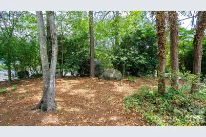 2703 Quailrush Road, Charlotte, NC 28226 - Photo 35