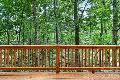 17 Woodhaven Place, Asheville, NC 28805 - Photo 37
