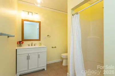 223 Davidson Road, Swannanoa, NC 28778 - Photo 37