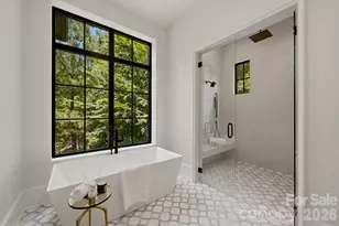 13703 Grand Palisades Pkwy, Charlotte, NC 28278 - Photo 19