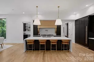 13703 Grand Palisades Pkwy, Charlotte, NC 28278 - Photo 11