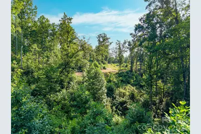 443 Polk County Line Road, Rutherfordton, NC 28139 - Photo 9