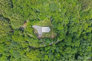337 Leatherbreeches Dr, Tuckasegee, NC 28783 - Photo 45