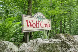337 Leatherbreeches Dr, Tuckasegee, NC 28783 - Photo 37