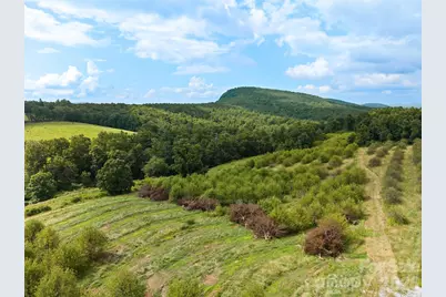 0 Summer Road #5, Hendersonville, NC 28792 - Photo 7