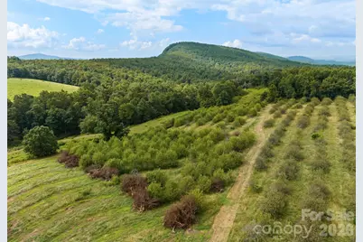 0 Summer Road #5, Hendersonville, NC 28792 - Photo 3