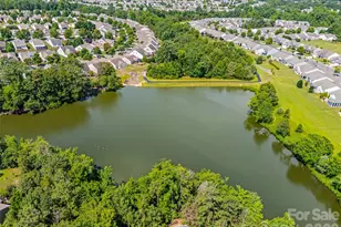 2027 Maned Goose Ct, Fort Mill, SC 29707 - Photo 33