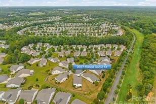 2027 Maned Goose Ct, Fort Mill, SC 29707 - Photo 29