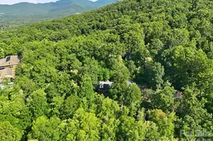 2 Coneflower Ct, Black Mountain, NC 28711 - Photo 37